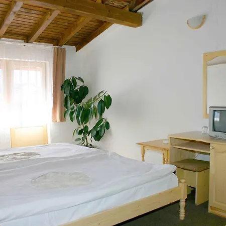 Family Bisser Hotel Bansko