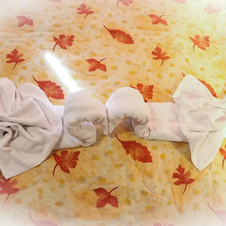 Hotel Family Bisser Bansko