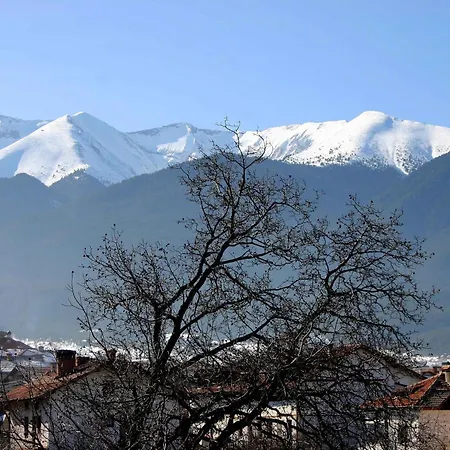 Hotel Family Bisser Bansko