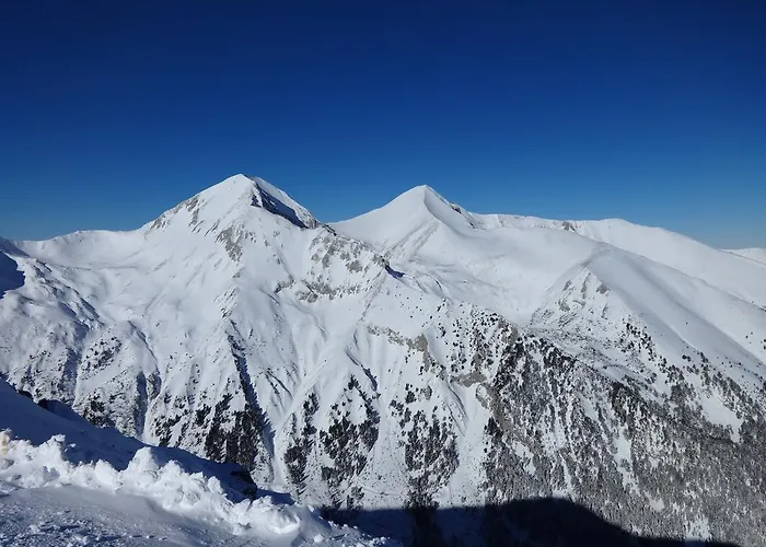 Family Bisser Hotel Bansko