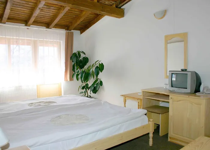 Family Bisser Hotel Bansko