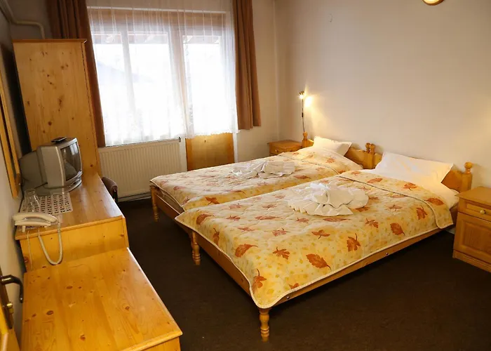 Family Bisser Hotel Bansko